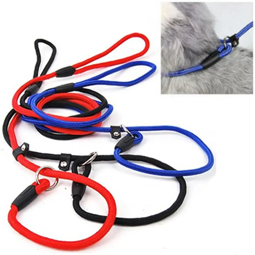 Dog Slip Lead Nylon Solid