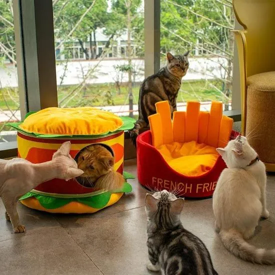 Hamburger & Fries Bed