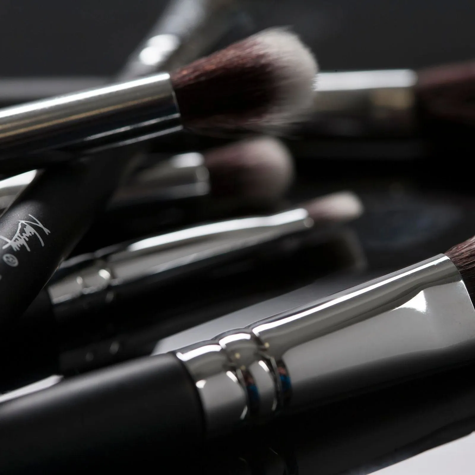 Masterful Collection 12 Piece Makeup Brush Set