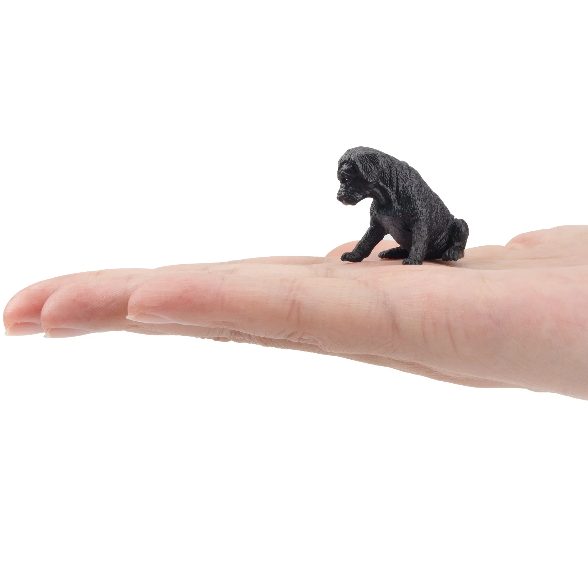 Toymany Mini Sitting Black Great Dane Puppy Figurine Toy